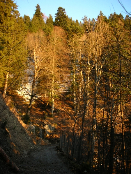 Schneefleck vor Gafadura links Weg 06_04_2010 (116).jpg